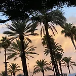 شقة Palmera House كولرا