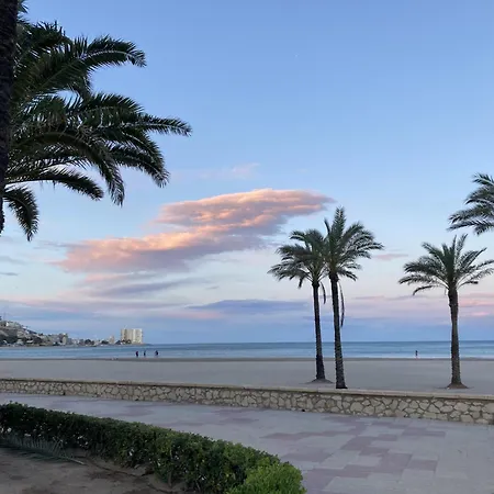 Palmera House Cullera