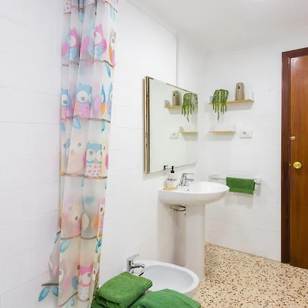 Apartman Palmera House