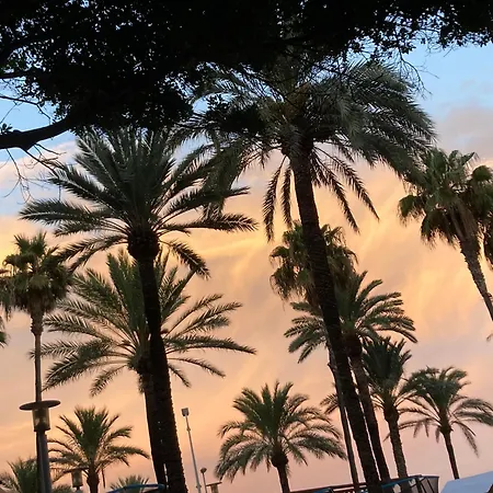 Palmera House * Cullera