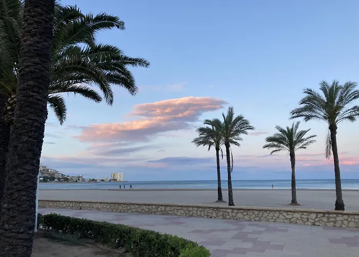 Palmera House Cullera